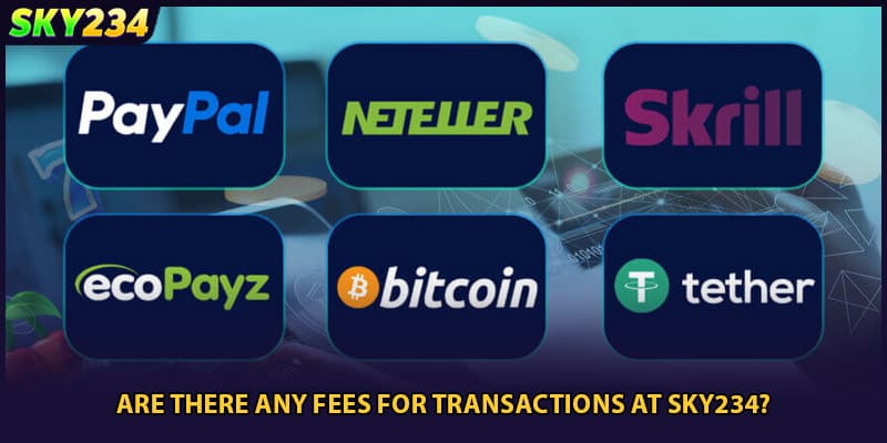 Are there any fees for transactions at SKY234?