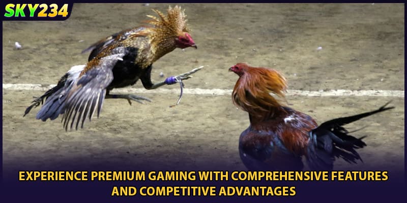 Experience premium gaming with comprehensive features and competitive advantages