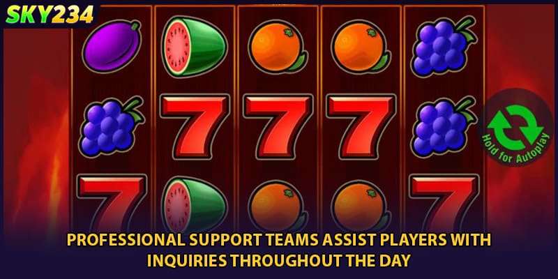 Professional support teams assist players with inquiries throughout the day