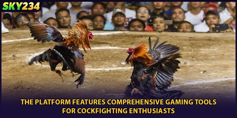 The platform features comprehensive gaming tools for cockfighting enthusiasts